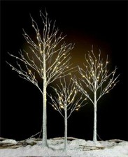 Birch Tree Christmas