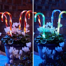 4/8 Pack Christmas Candy Cane