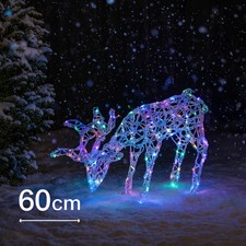 60cm Grazing White Rattan